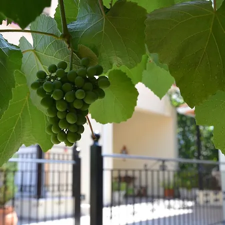 Apartman Kaiti *